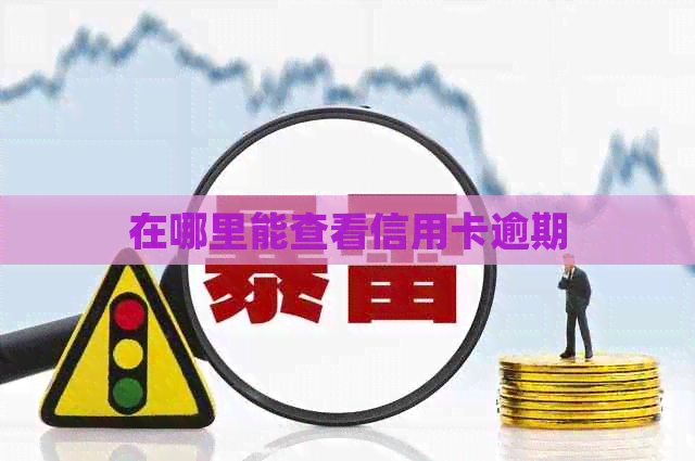 在哪里能查看信用卡逾期