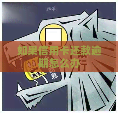 如果信用卡还款逾期怎么办