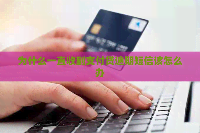 为什么一直收到支付贷逾期短信该怎么办