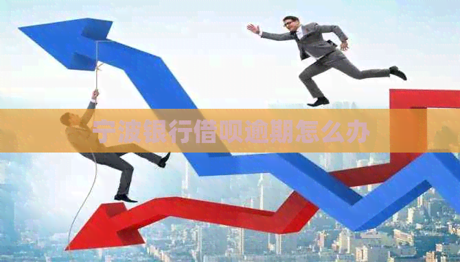 宁波银行信用卡逾期怎么办
