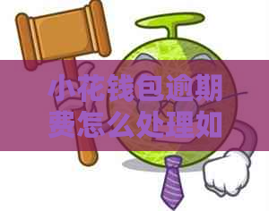 小花钱包逾期费怎么处理如何避免影响个人信用 小花钱包逾期费怎么处理如何避免影响个人信用