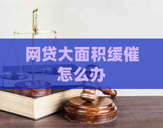 网贷大面积缓催怎么办
