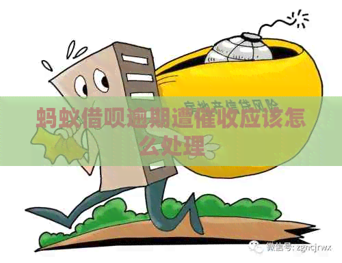 蚂蚁信用卡逾期遭应该怎么处理