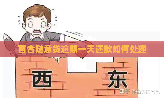 百合随意贷逾期一天还款如何处理