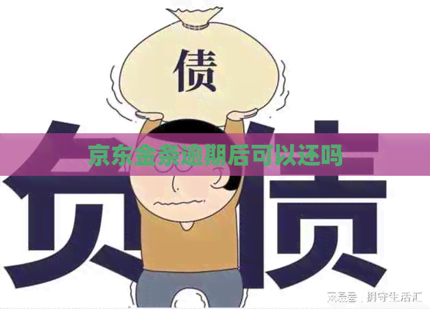 京东金条逾期后可以还吗