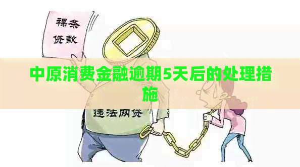 中原消费金融逾期5天后的处理措施