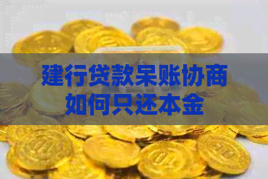 建行贷款呆账协商如何只还本金