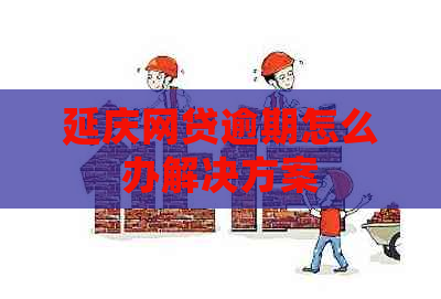 延庆网贷逾期怎么办解决方案