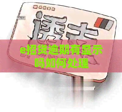 e招贷逾期有显示吗如何处理