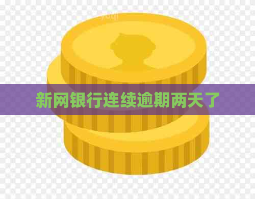 新网银行连续逾期两天了