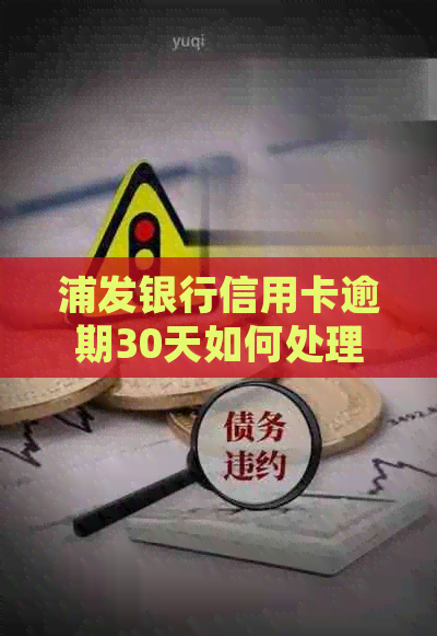 浦发银行信用卡逾期30天如何处理