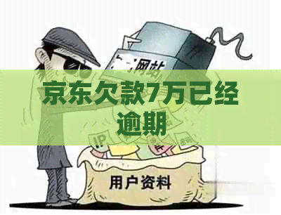 京东欠款7万已经逾期