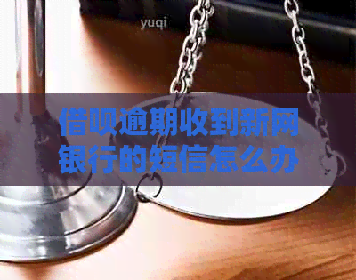信用卡逾期收到新网银行的短信怎么办