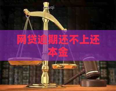 网贷逾期还不上还本金