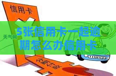 5张信用卡一起逾期怎么办信用卡逾期处理方法