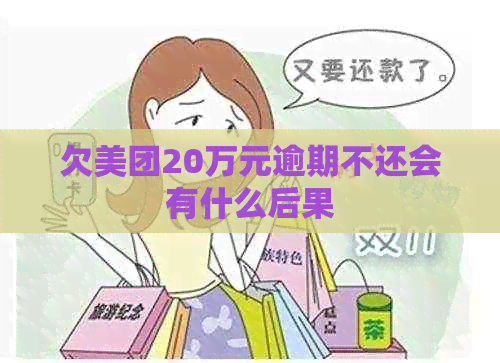欠美团20万元逾期不还会有什么后果