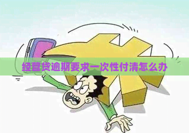 经营贷逾期要求一次性付清怎么办