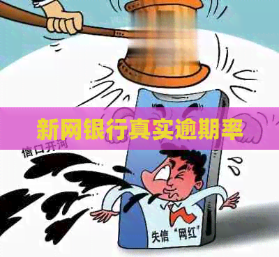 新网银行真实逾期率