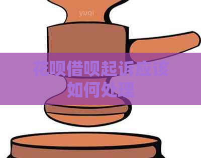 白条信用卡起诉应该如何处理