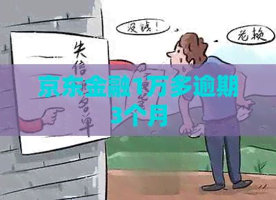 京东金融1万多逾期3个月