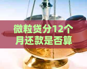 微粒贷分12个月还款是否算逾期