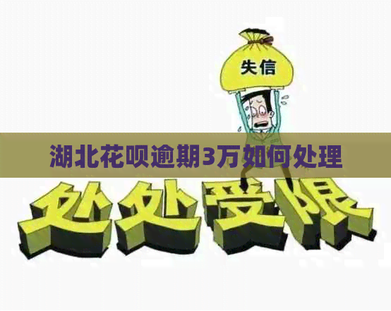 湖北白条逾期3万如何处理