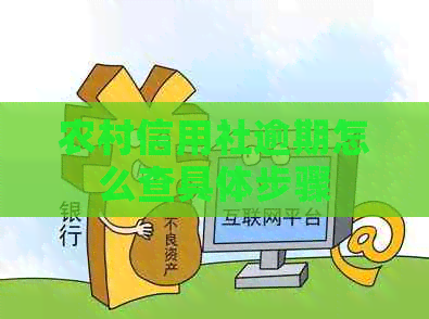 农村信用社逾期怎么查具体步骤