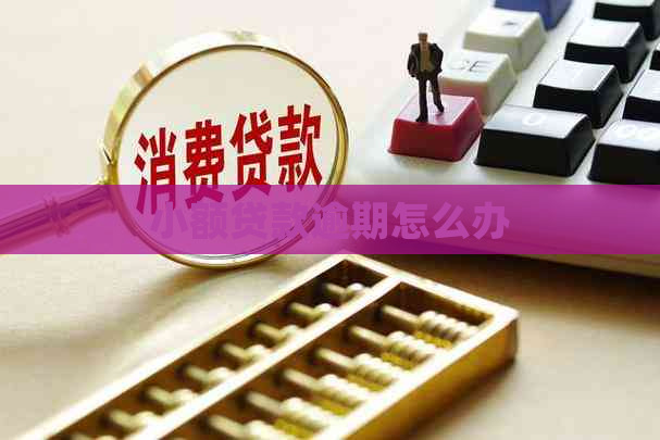 小额贷款逾期怎么办