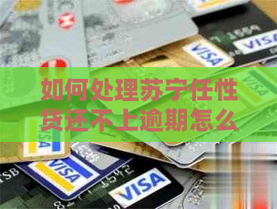 如何处理苏宁任性贷还不上逾期怎么办问题