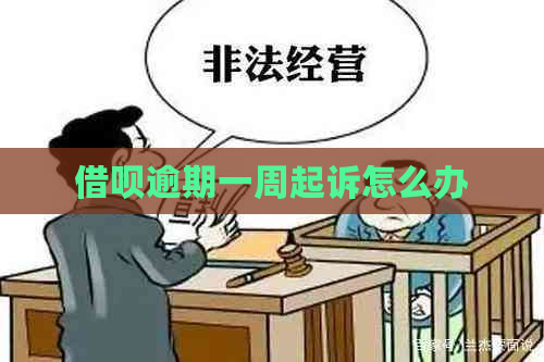 信用卡逾期一周起诉怎么办