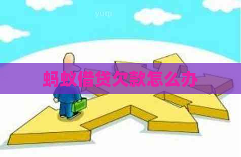 蚂蚁借贷欠款怎么办