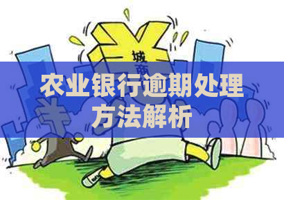 农业银行逾期处理方法解析