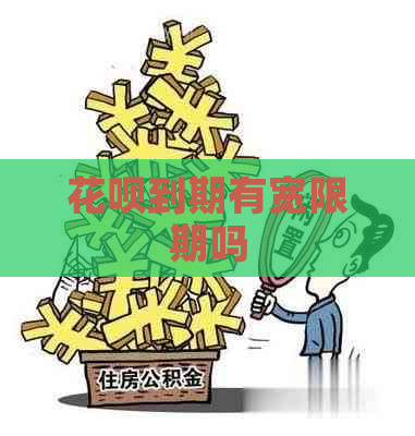 白条到期有宽限期吗