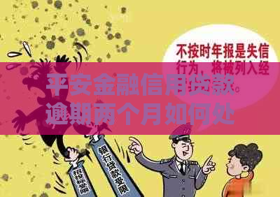 平安金融信用贷款逾期两个月如何处理
