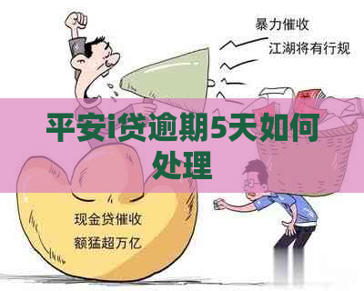 平安i贷逾期5天如何处理
