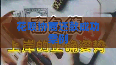 白条协商还款成功案例