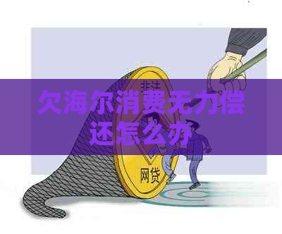 欠海尔消费无力偿还怎么办