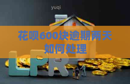 白条600块逾期两天如何处理