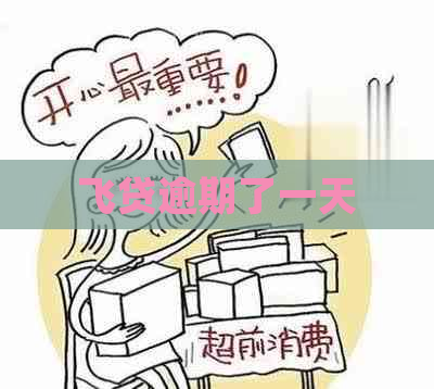 飞贷逾期了一天