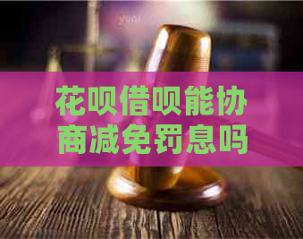 白条信用卡能协商减免罚息吗问题解答