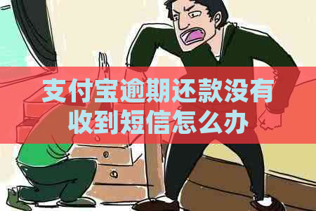 信用卡逾期还款没有收到短信怎么办