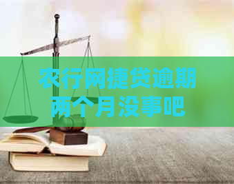农行网捷贷逾期两个月没事吧