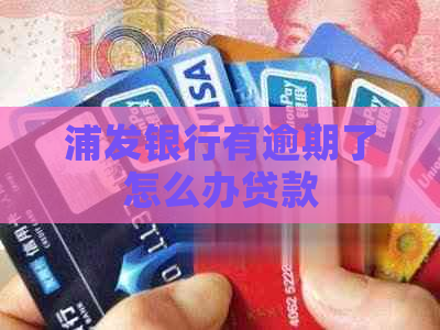 浦发银行有逾期了怎么办贷款