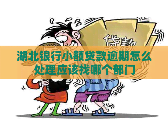 湖北银行小额贷款逾期怎么处理应该找哪个部门