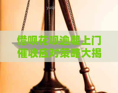 信用卡白条逾期上门应对策略大揭秘