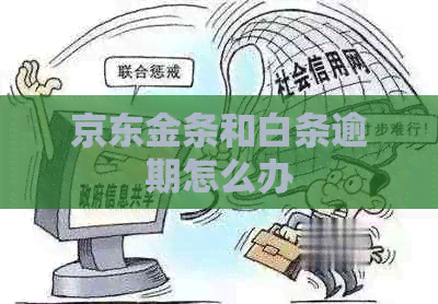 京东金条和白条逾期怎么办
