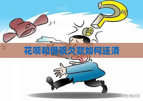 白条和信用卡欠款如何还清