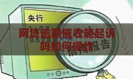网贷逾期能起诉吗如何操作