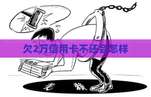欠2万信用卡不还会怎样