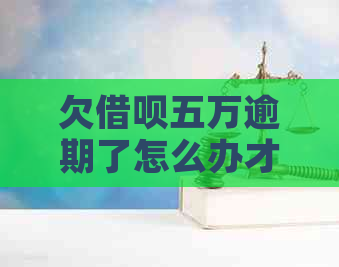 欠信用卡五万逾期了怎么办才能摆脱困境